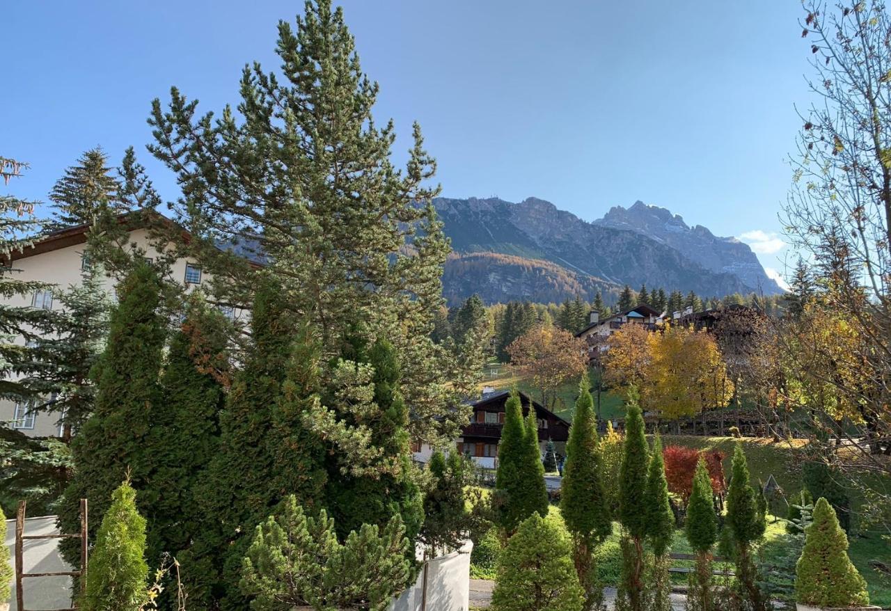 Hotel Serena Cortina Κορτίνα Ντ' Αμπέτσο Εξωτερικό φωτογραφία