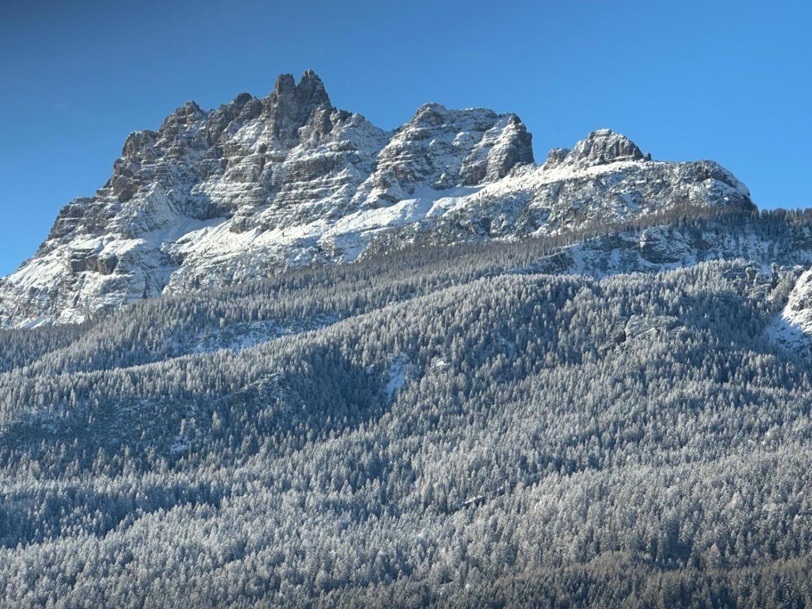 Hotel Serena Cortina Κορτίνα Ντ' Αμπέτσο Εξωτερικό φωτογραφία